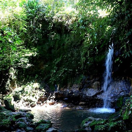 Misahualli Amazon Lodge Tena Bagian luar foto