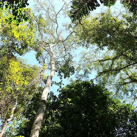 Misahualli Amazon Lodge Tena Bagian luar foto