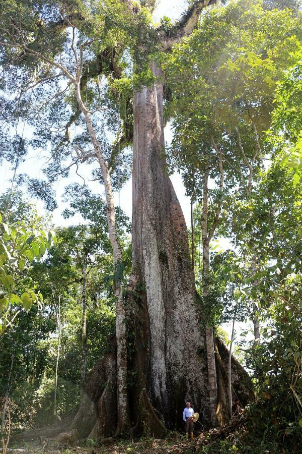 Misahualli Amazon Lodge Tena Bagian luar foto